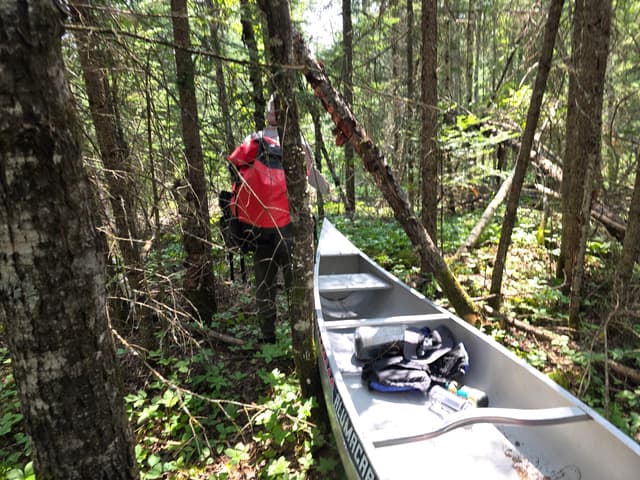A canoe set down on a forest portage trail next to a red pack