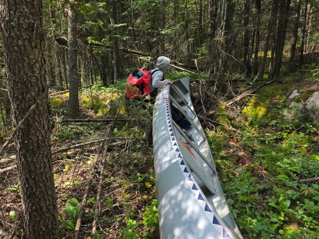 Carrying a canoe through the woods on a portage