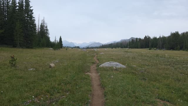 A dirt trail through a wide meadow toward distant peaks
