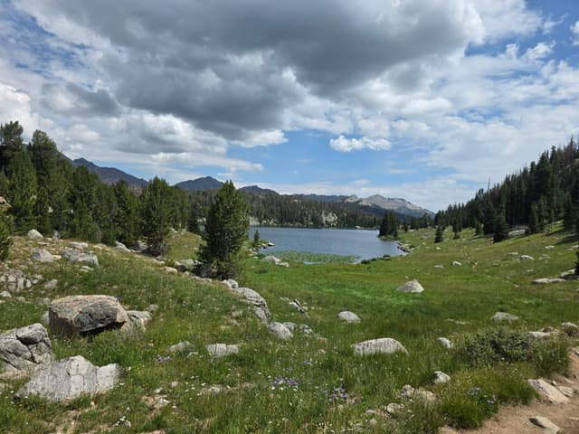 A lake in a meadow ringed by pines and granite