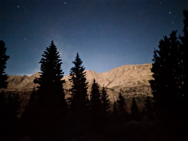 Pine silhouettes against a starry sky and a moonlit ridge