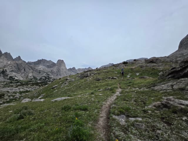 A faint trail leading through a high meadow under clouds