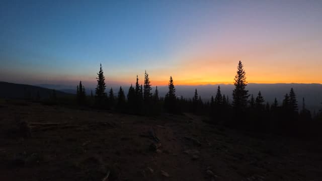 A thin orange glow on the horizon behind silhouetted pines