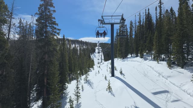A chairlift climbing through pine forest