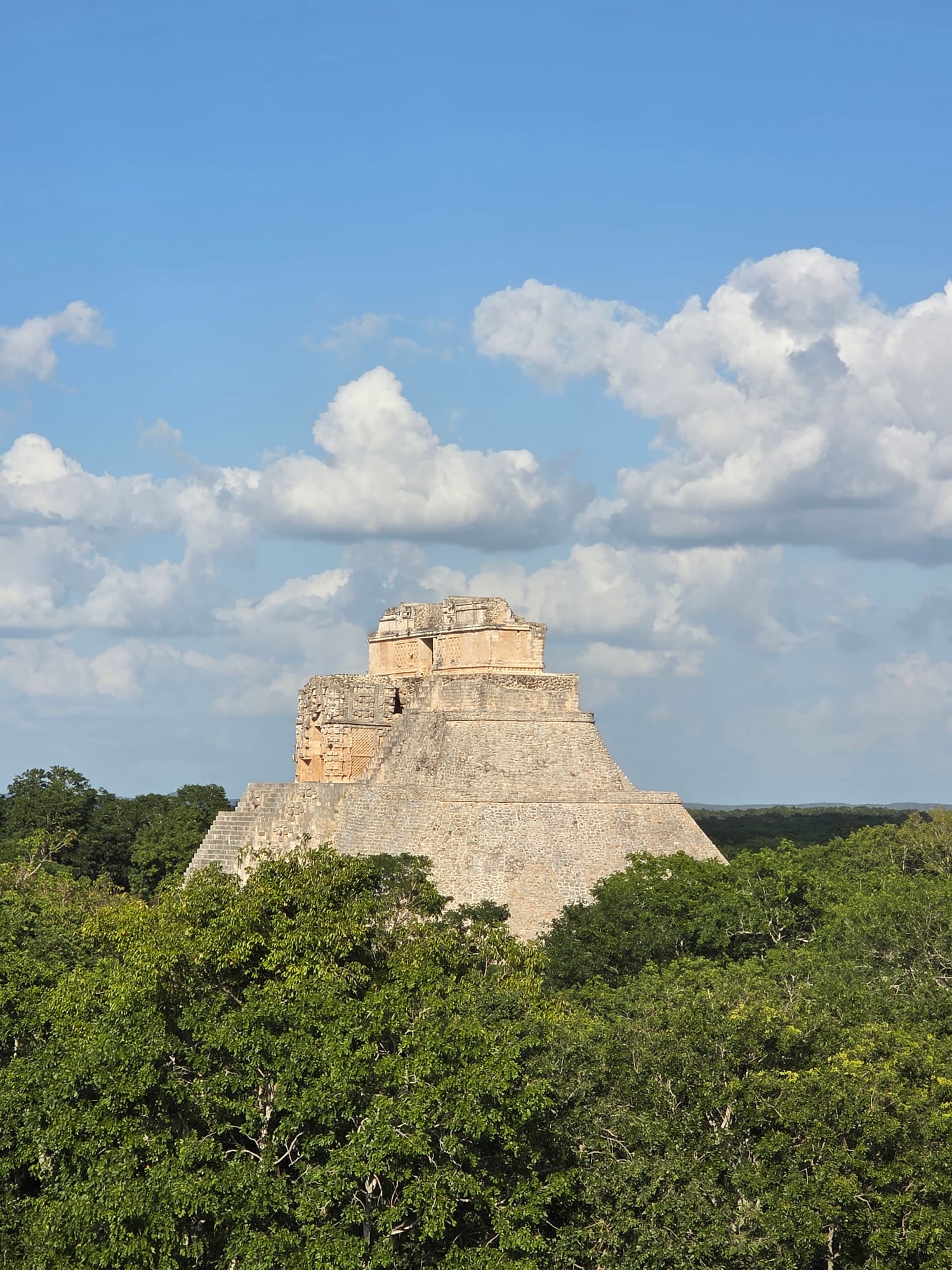 The Uxmal pyramid rising above the jungle canopy